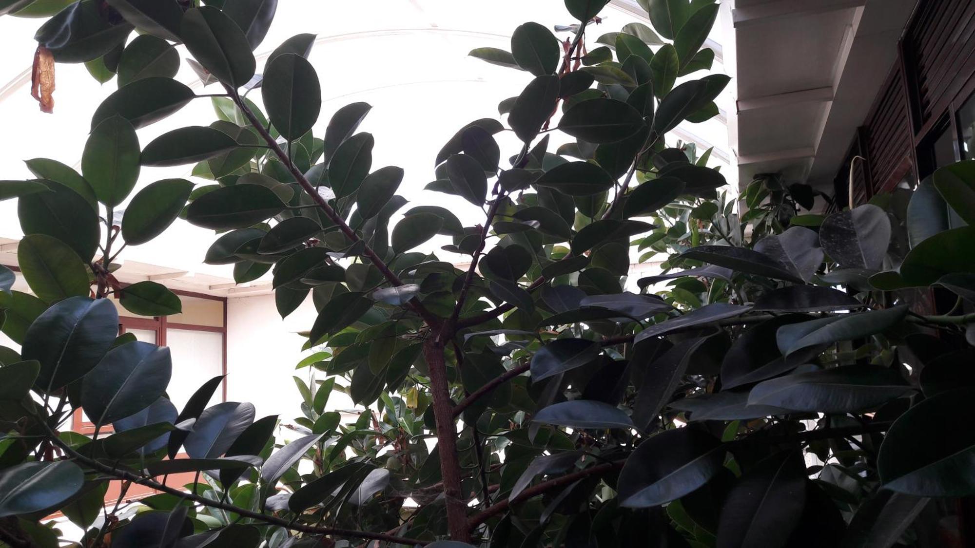 Hotel Torres Tourino サンシェンショ エクステリア 写真